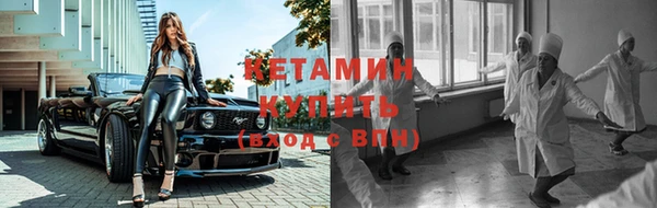 стаф Новодвинск