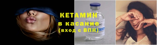 стаф Новодвинск