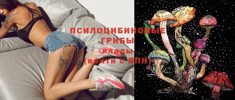 shop телеграм  Поронайск  Галлюциногенные грибы Magic Shrooms 